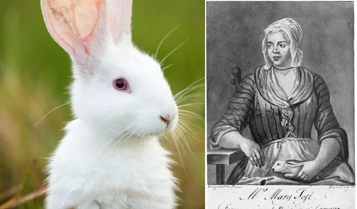 Женщина родила кроликов. Женщина рожала кроликов. Англичанка рожавшая кроликов.