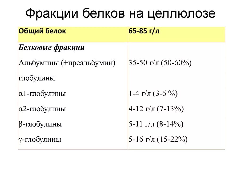 Анализ белковых фракций крови. Белки фракции крови норма. Нормальные показатели белковых фракций в крови. Фракции белка в биохимическом анализе крови норма.