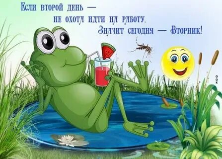 Ф вторник прикол