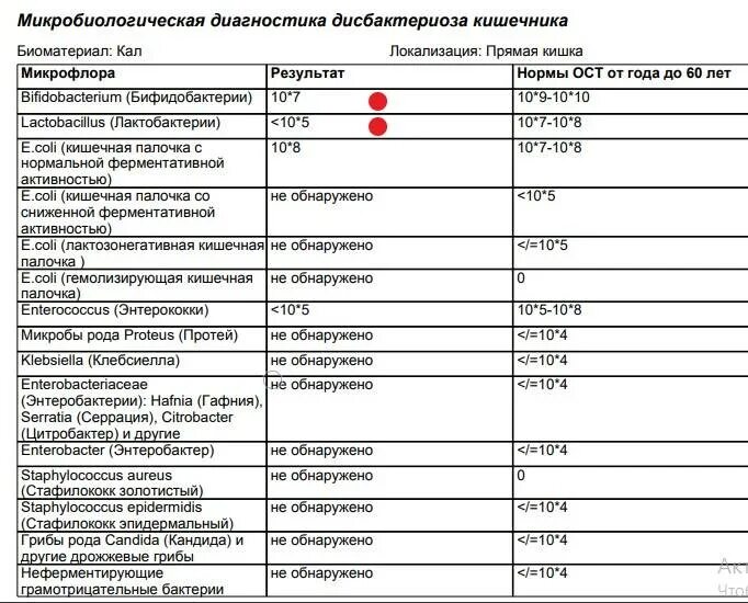 Золотистый стафилококк в кишечнике у ребенка. Норма гемолизирующей кишечной палочки. e.coli гемолитическиe 10в7. гемолитическая кишечная палочка норма. e.coli гемолитические в кале у ребенка.