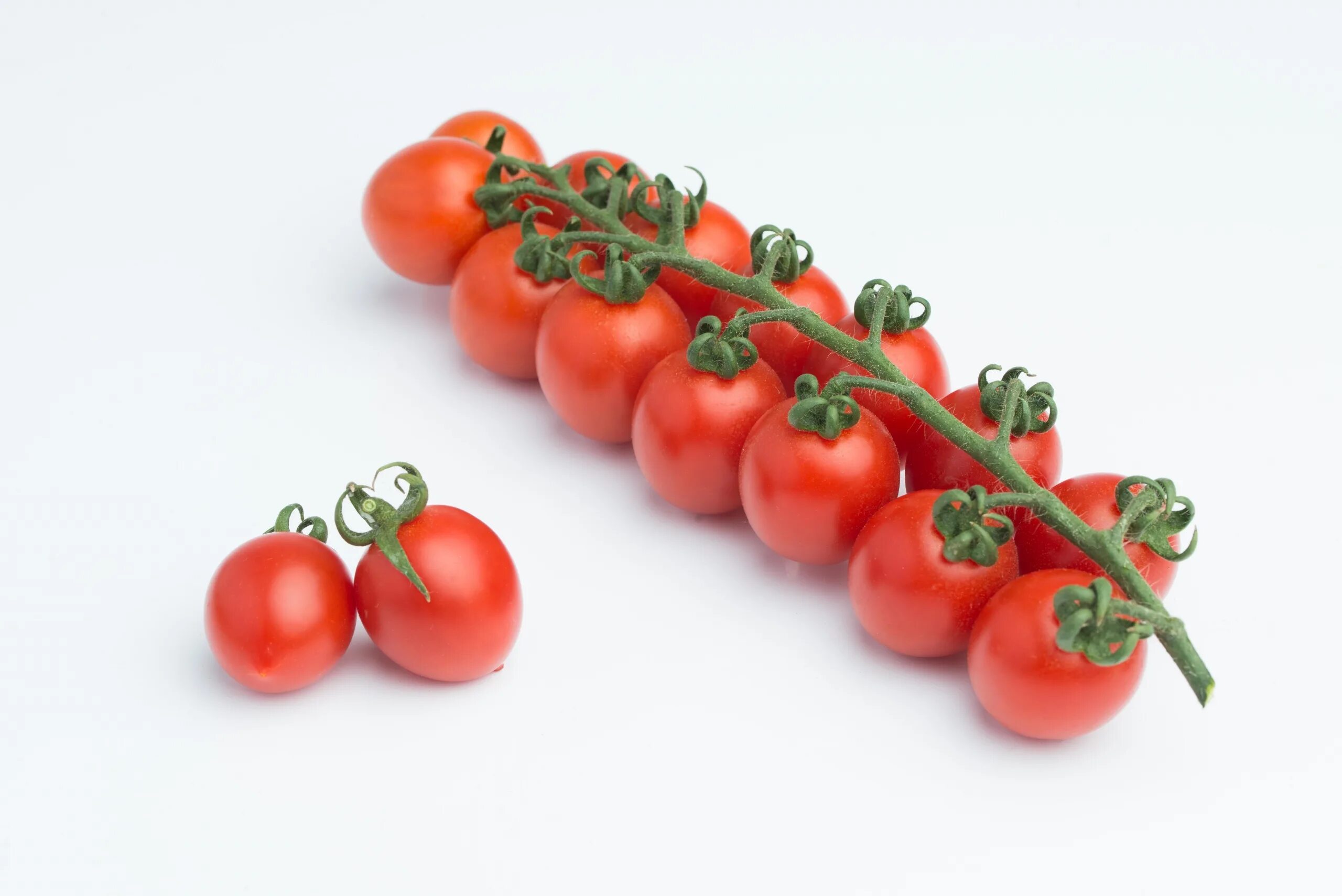 сладкие сорта томатов черри