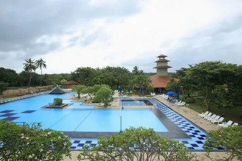 Club palm 4