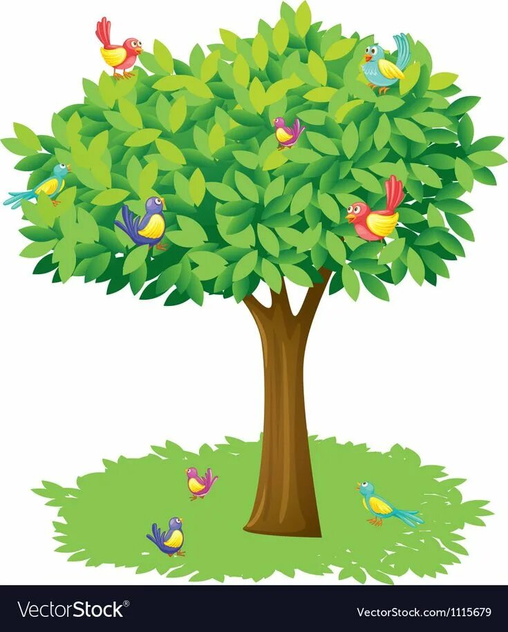 That bird is in the tree