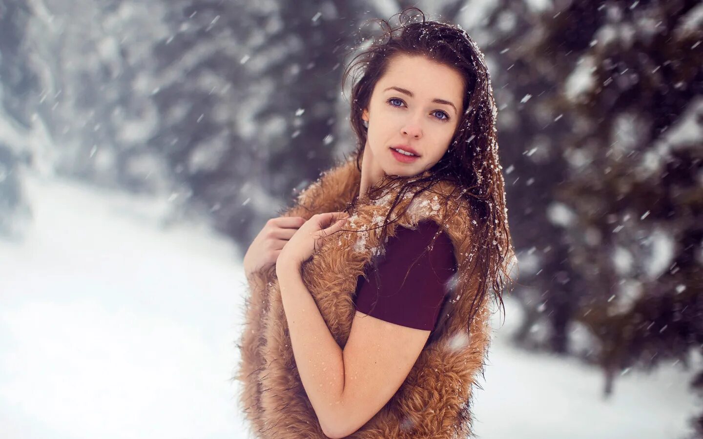Зимние фото красавиц Wallpaper : Niece Waidhofer, women, model, snow, trees, car, house, white, winte