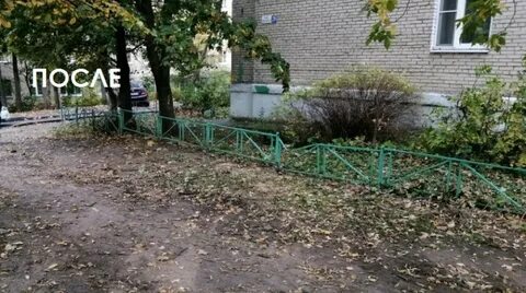 Куда пожаловаться на двор