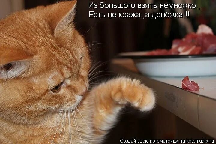 Сам тащусь. Приколы про усталость. Нельзя просто взять и свалить. От многого немножко не воровство. Берем немного.