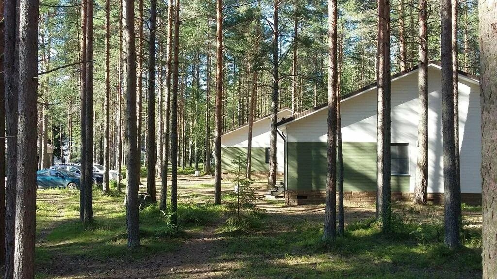 Эко вилладж ленинградская область. Маяк турбаза самара официальный сайт. Эко виладж спб. Турбаза эко виладж. Турбаза эко виладж.