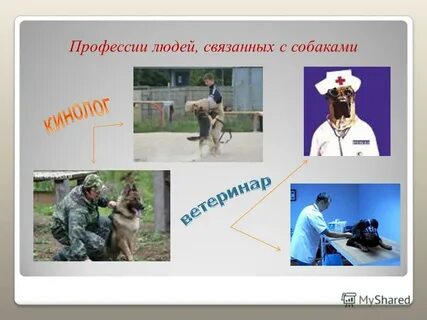 Профессии в которых помогают людям