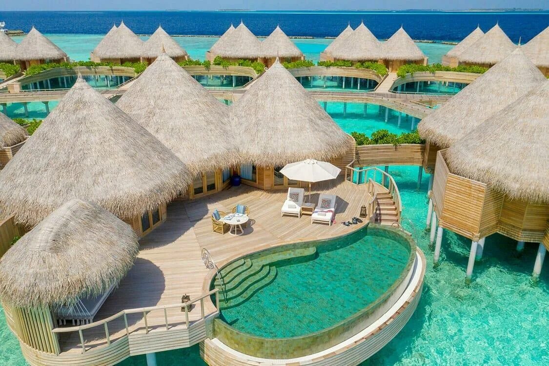 Тур на четверых. Мальдивы остров Наутилус. Мальдивы отель Nautilus. Мальдивы вилла Наутилус. The Nautilus Beach & Ocean Houses Maldives (Baa Atoll).