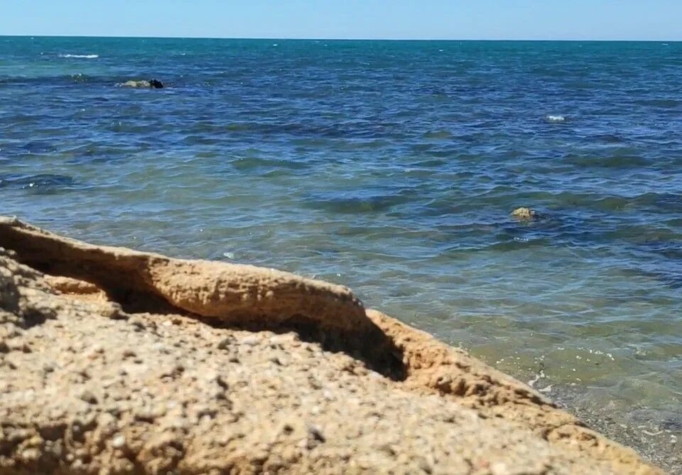 Вода в черном море крым сегодня