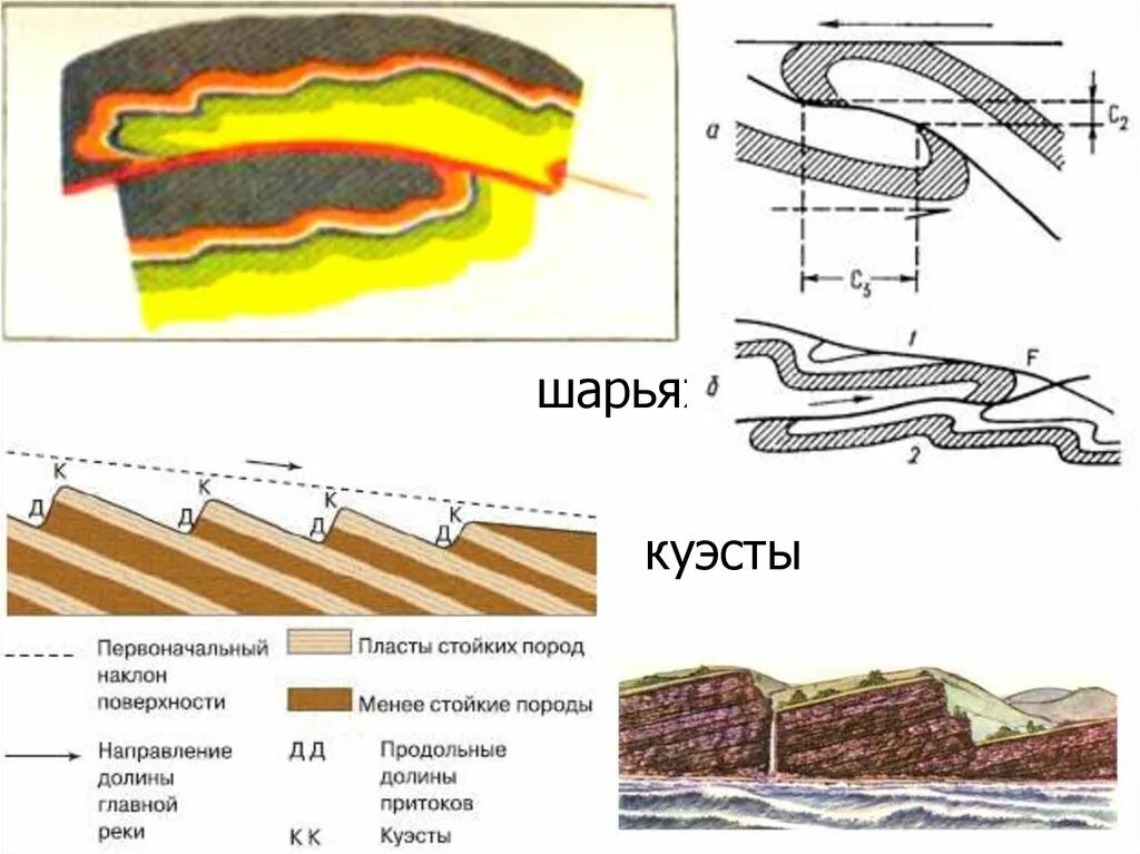 Обрусевший. Обрусевший