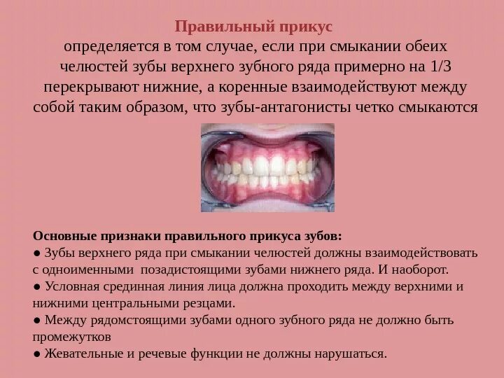 Как должен выглядеть прикус Какой должен быть прикус у человека