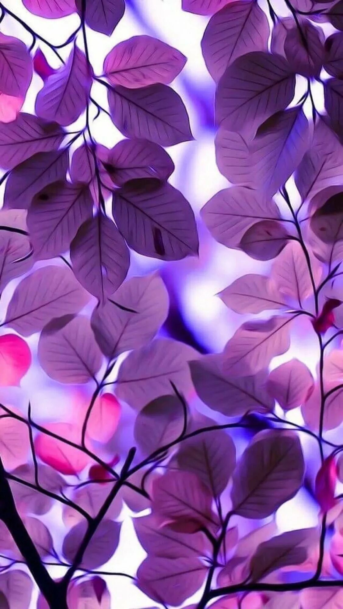 Samsung a13 чехол. Фиолетовые цветы. Сиреневый фон. Сиреневые цветы.