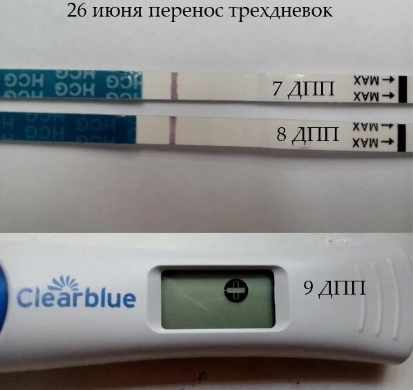 9 день после. 7 ДПП тест. 7дпп тест на беременность. Тест на беременность на 7 ДПП пятидневок. 7 ДПП тест отрицательный.