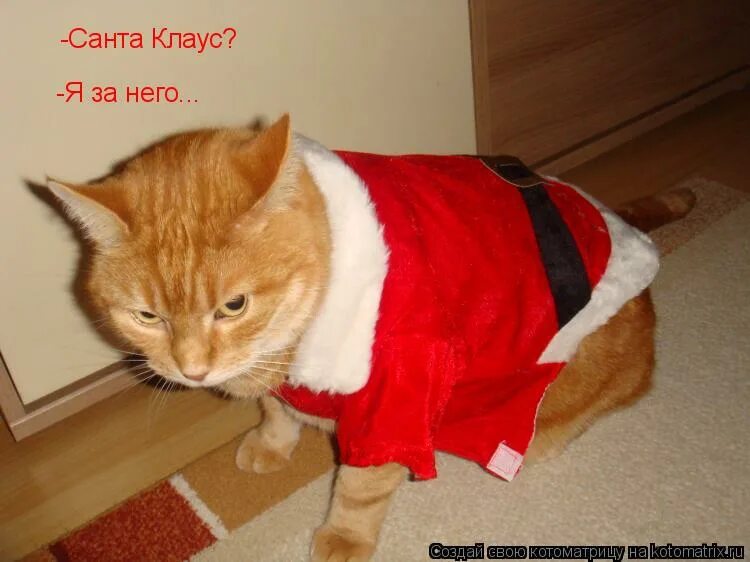 ненавижу новый