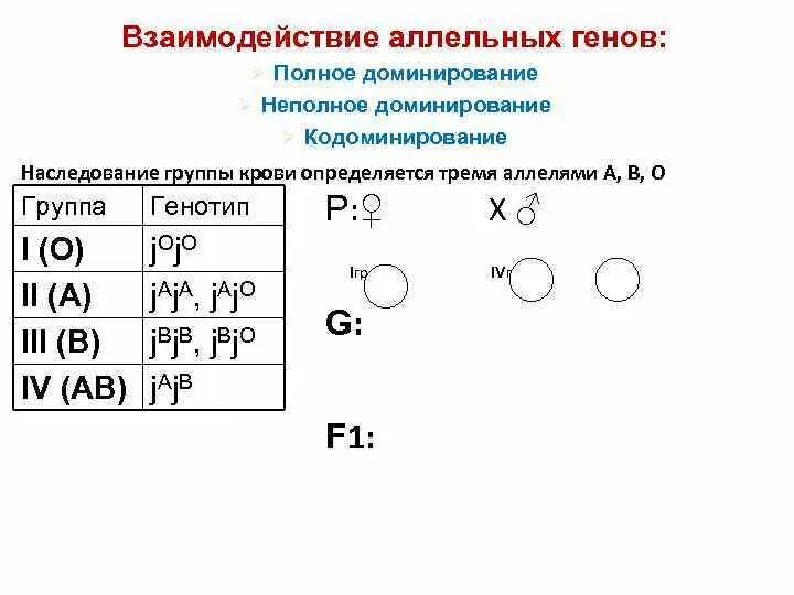 Взаимодействие аллельных генов схема. Наследование 4 группы крови обозначается. Наследование 4 группы крови сверхдоминирование. Взаимодействие аллельных генов кодоминирование. Кодоминирование группы крови