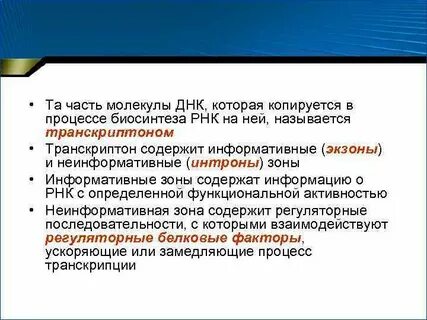 Информативный ген
