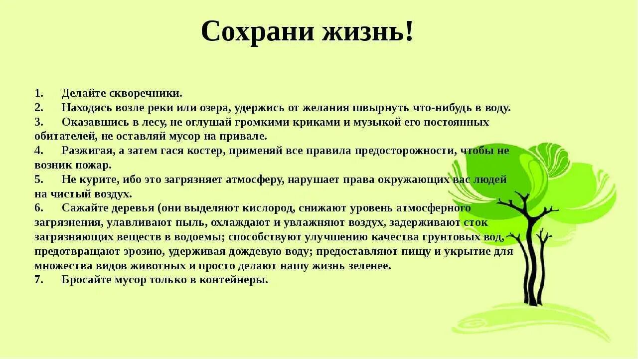 Проект на экологическую тему 4 класс. Проект на экологическую тему 4 класс