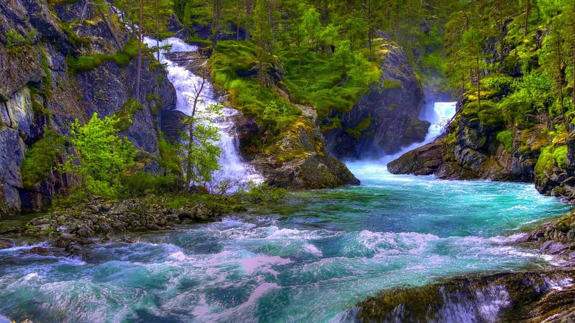 ручей в россии. горная река карпаты. течет красивая река. ручей летом. ермаковский ручей.