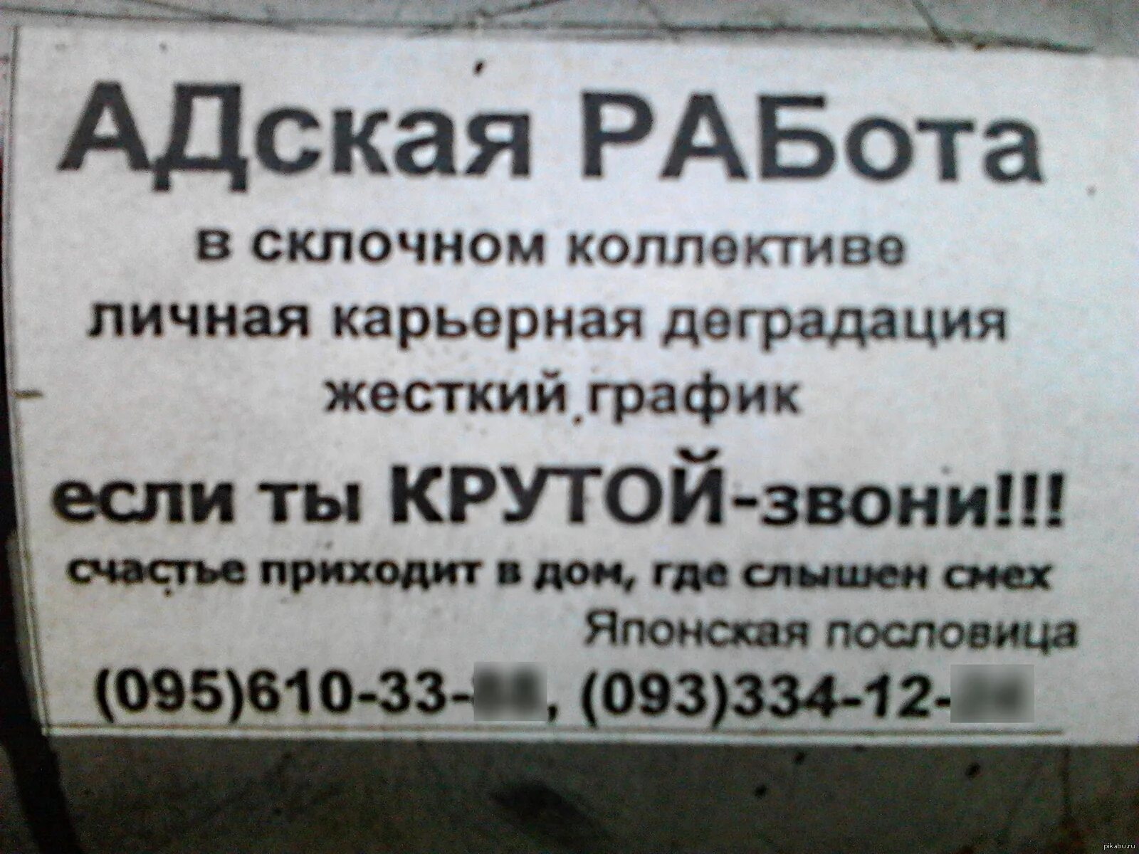 Объявление куплю украина. Смешные объявления. Креативные объявления. Необычные объявления. Текст объявление смешное.