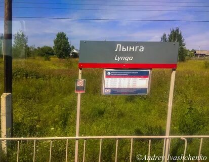 Погода лынга