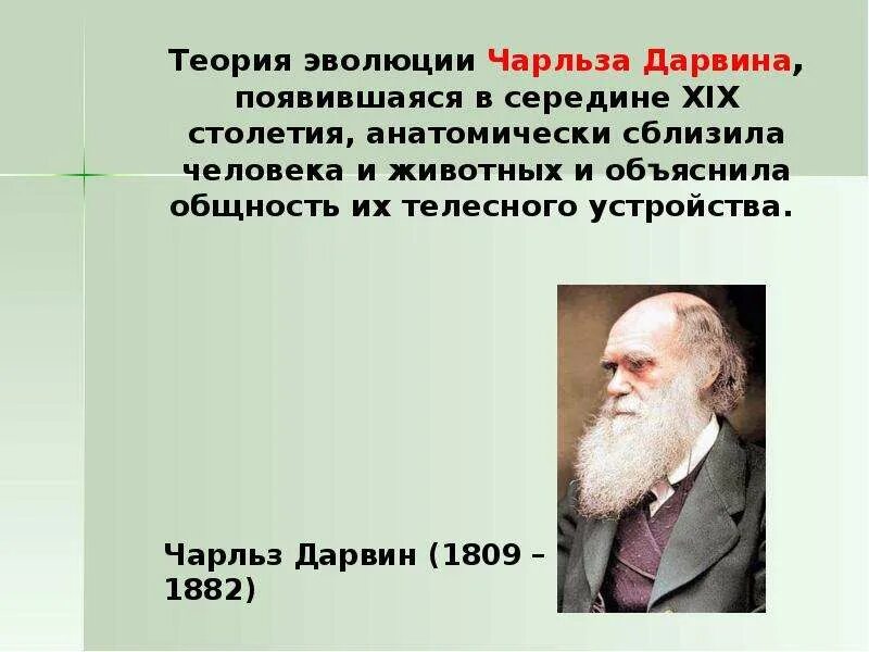 Гипотеза дарвина. Теория Чарльза Дарвина. Эволюционная теория Чарльза Дарвина. Теория революции Чарльза Дарвина.