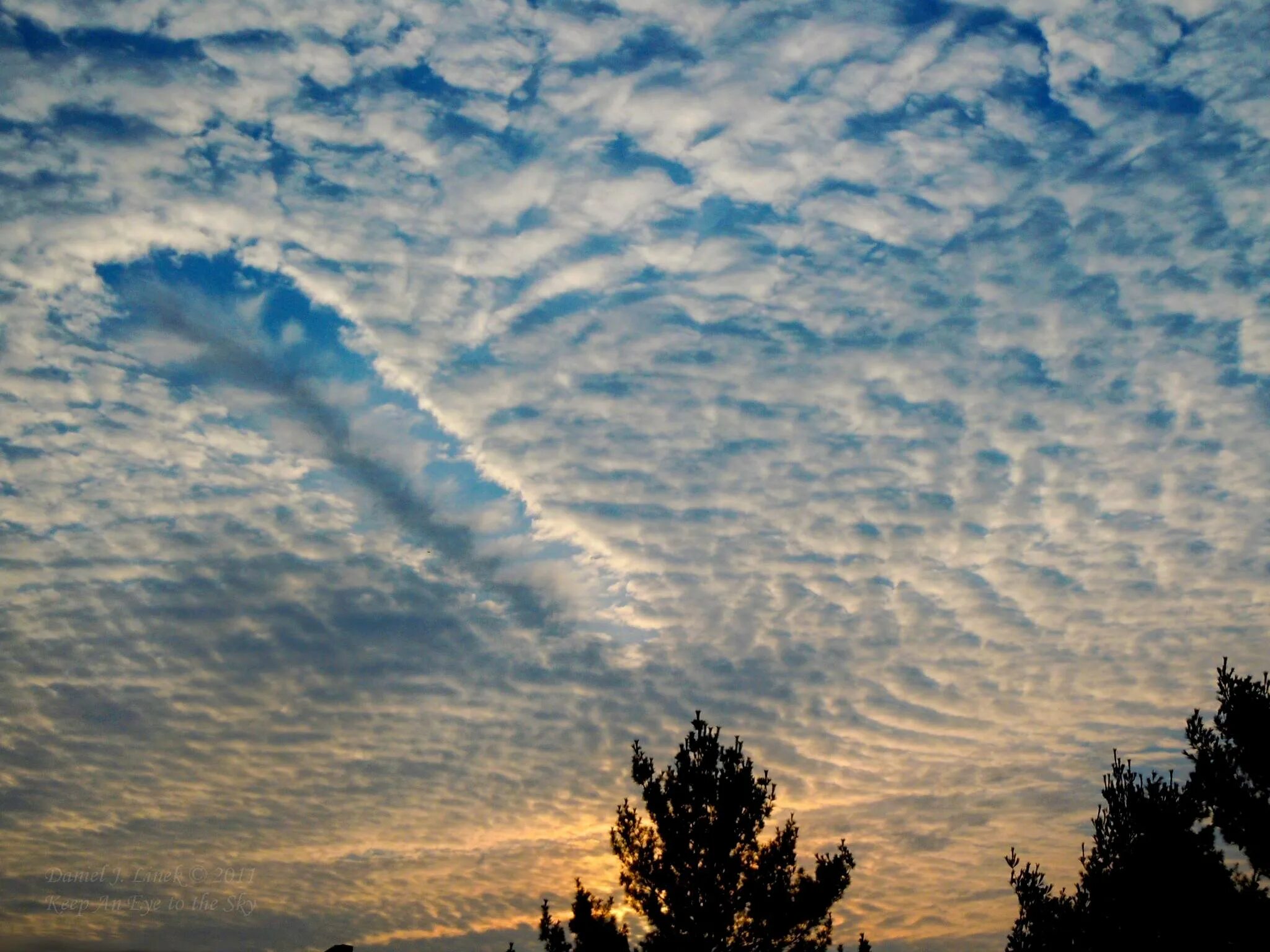 облака мамматус атмосферное явление. облака мамматус атмосферное явление. клочья облаков. клочья облаков. клочья облаков.