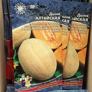 Дыни для сибири