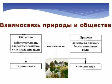 К характеристике общества и природы относится