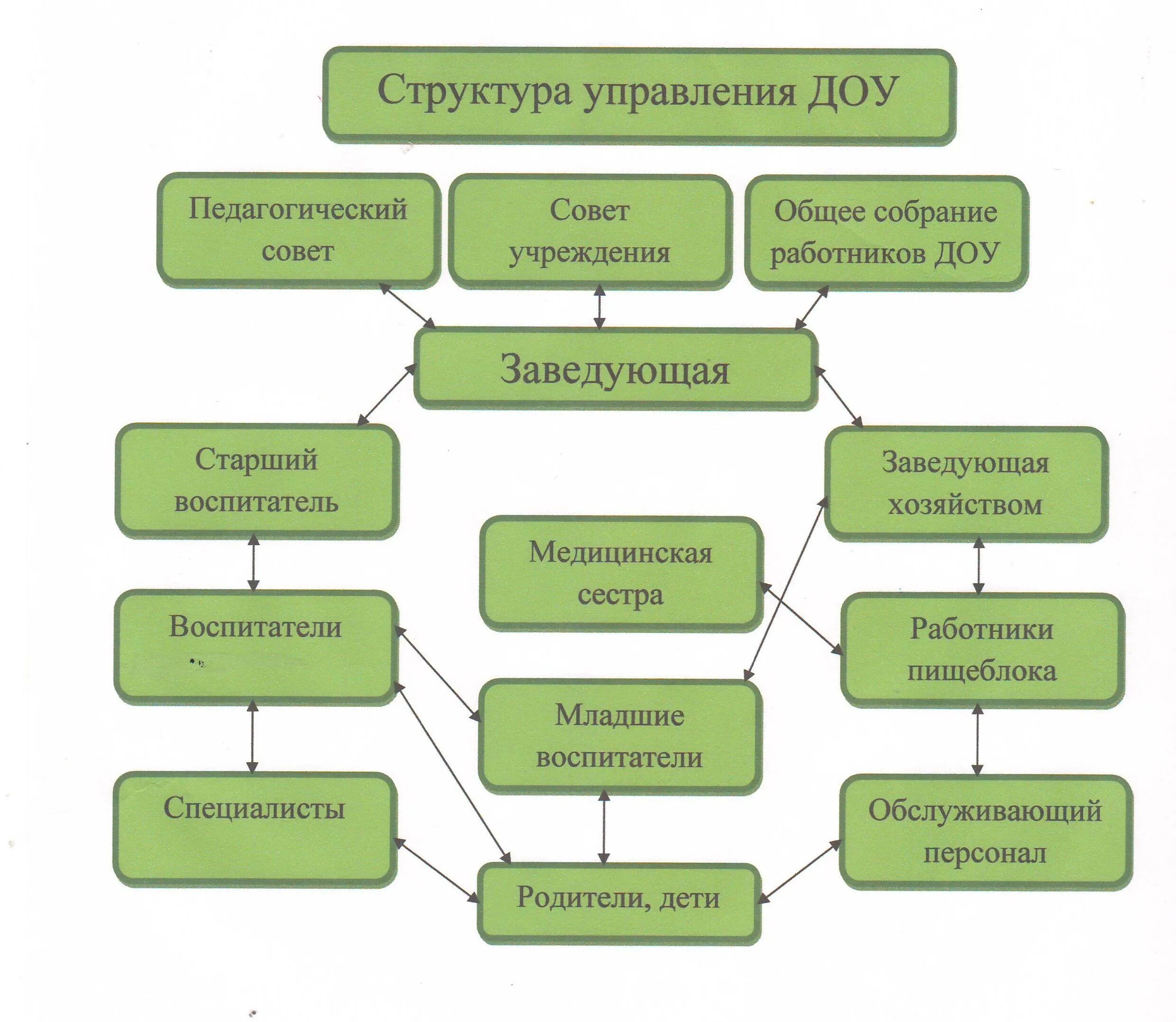 Организационная структура дошкольного учреждения (схема). Структура образовательного учреждения ДОУ схема. Схема управления детским садом. Организационная структура управления детского сада схема.