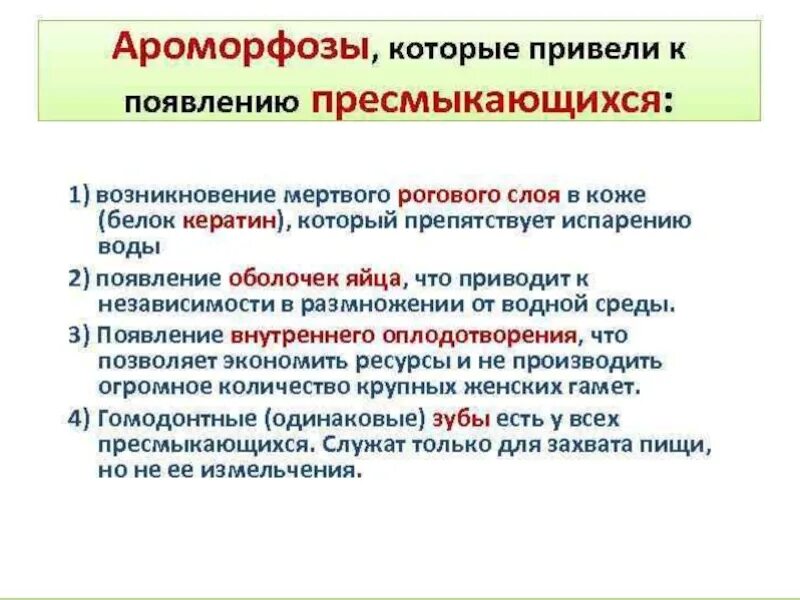 Перечислите основные ароморфозы пресмыкающиеся. Ароморфозы рептилий. Амофорзы пресмыкающихся. Основные ароморфозы рептилий. Появление теплокровности у птиц