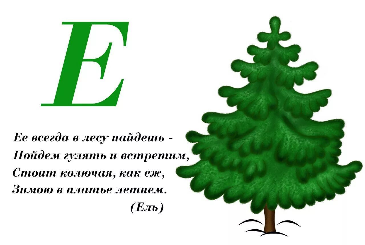 Текст про букву е. Загадка про букву е. Загадки для детей на букву е. Загадка с отгадкой на букву е. Загадки на букву е для дошкольников.