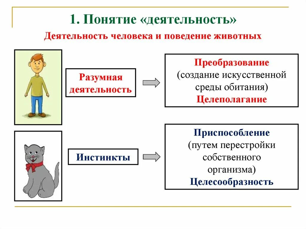 Деятельность человека делится на. Деятельностььчеловека. Понятие деятельности. Презентация по обществознанию. Понятие деятельность в обществознании 6 класс.