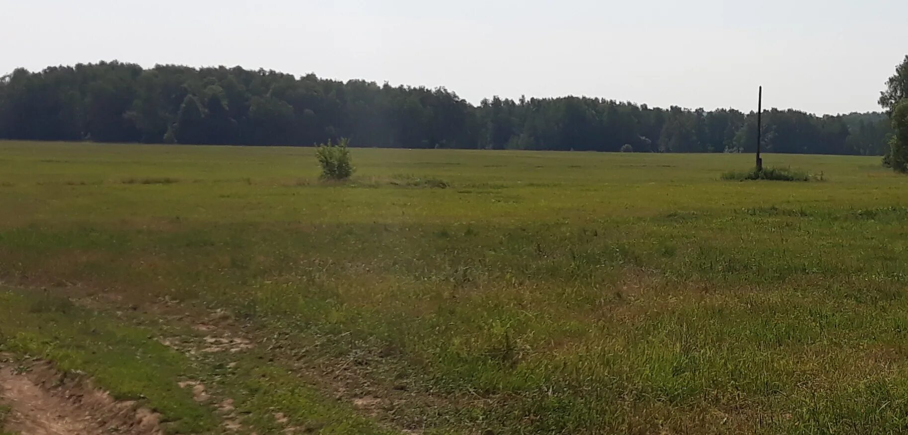 выкуп земли сельхозназначения. выкуп земли сельхозназначения. взять земля сельхозназначения в аренду у государства. выдача земельных участков. выкуп земли сельхозназначения.