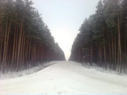 Погода в чекане