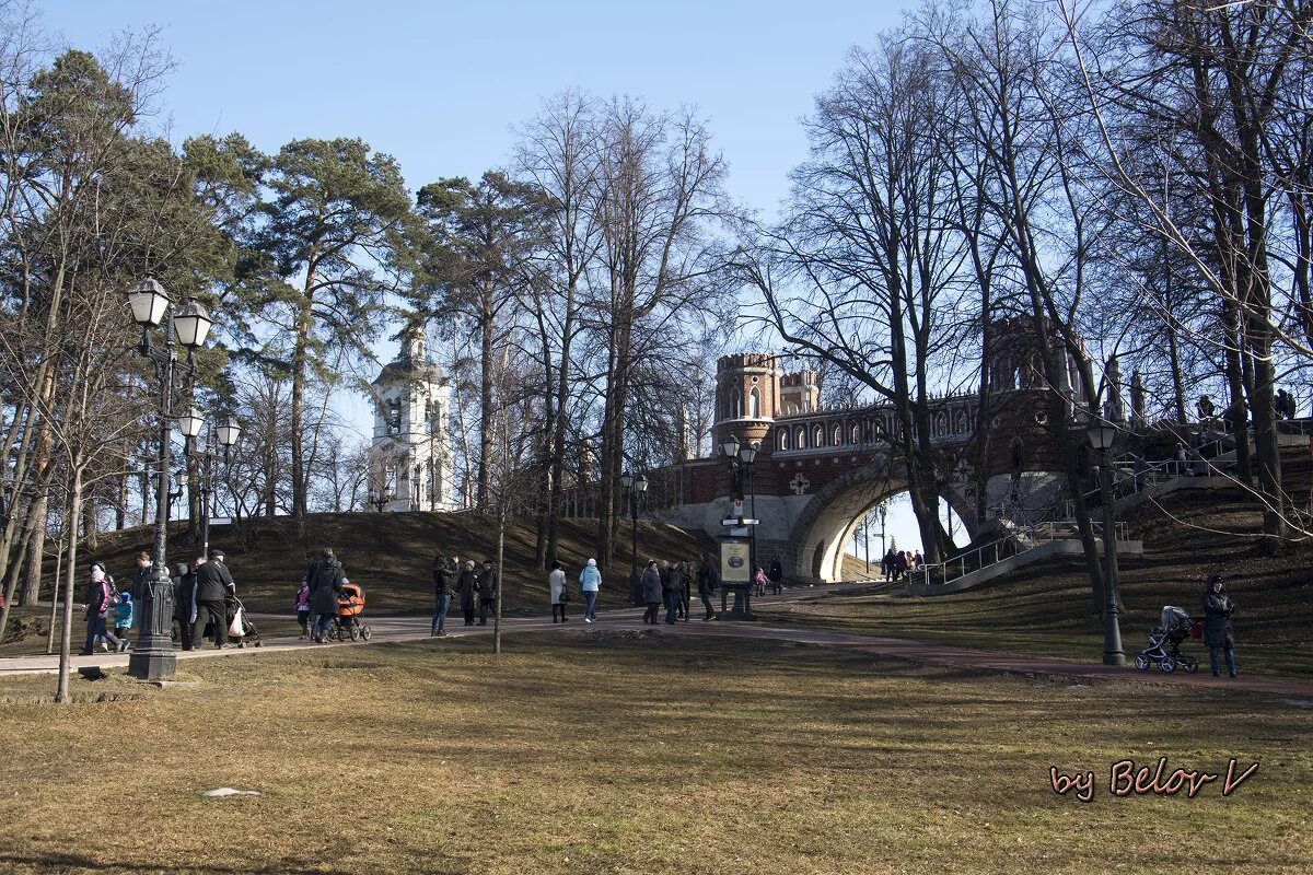 весенняя царицыно