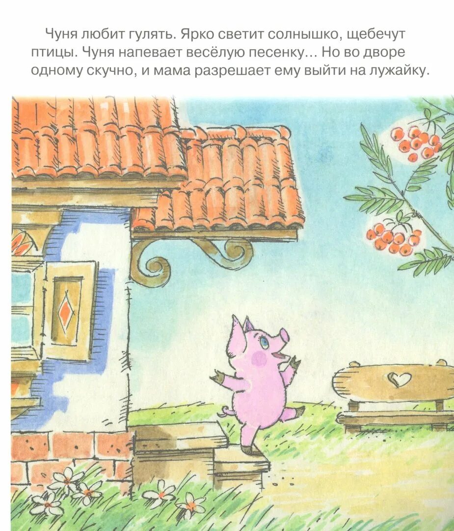 Покажи чуня. Чуня карганова. Поросенок чуня. Книжка чуня. Поросенок чуня.