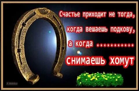 Счастье придет