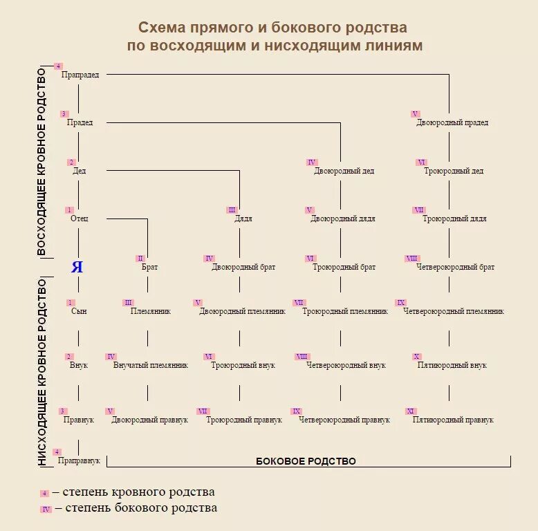 Сын племянницы тете. Схема родственных связей двоюродных сестер. Генеалогическое дерево ,степени родства. Родственные связи кто кому приходится таблица кем схема. Схема родства двоюродные троюродные.