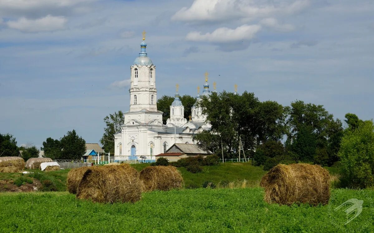 Живо пензенской области. Природа Пензенской области. Пейзажи Пензенской области. Поверхность Пензенской области. Красота России Пензенской области.