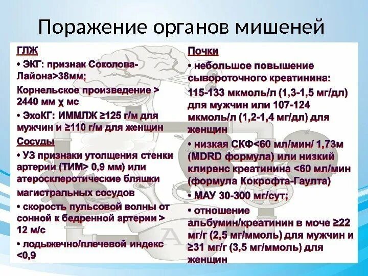 Признаки поражения органов мишени. Поражение органов мишеней. ГБ поражение органов мишени. Симптомы при АГ. Симптомы при ГБ.