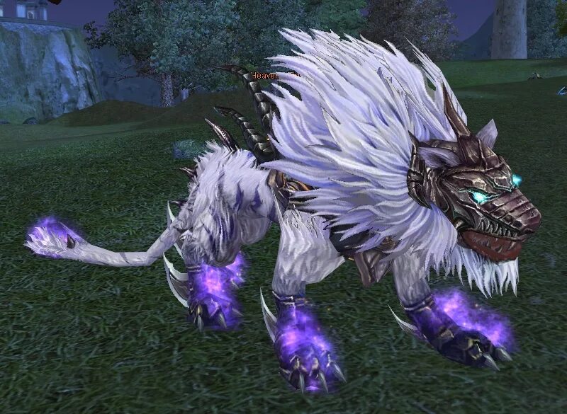 Ездовые питомцы пв. Найти черную молнию пв. Черный тигр пв. Мморпг perfect world. Рпг perfect world.