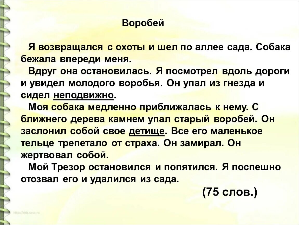 Сочинение по тексту тургенева. Изложение Воробей. Изложение Воробей Тургенев. Изложение 3 класс. Изложение 5 класс.