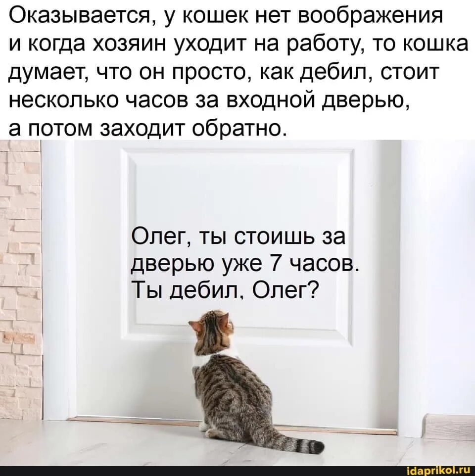 Собака причиняет боль хозяину только. Смерть домашнего любимца. Что делать если напала собака на человека. Ушла собака что делать. Смерть собаки цитаты.