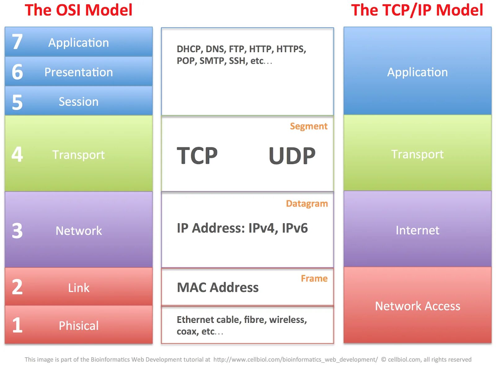 Tcp illustrated. Tcp illustrated