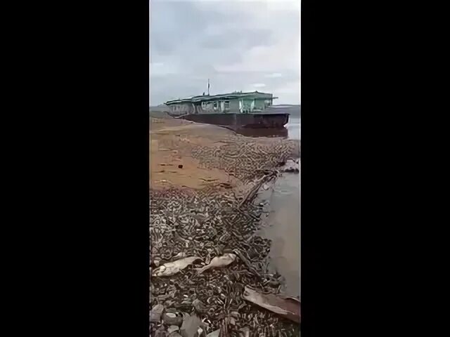 Края бездны битва за мариуполь глазами очевидца
