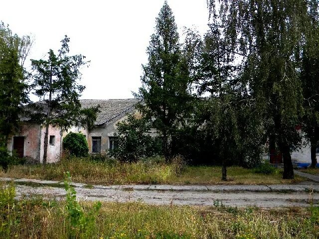 Здесь мог быть текст.