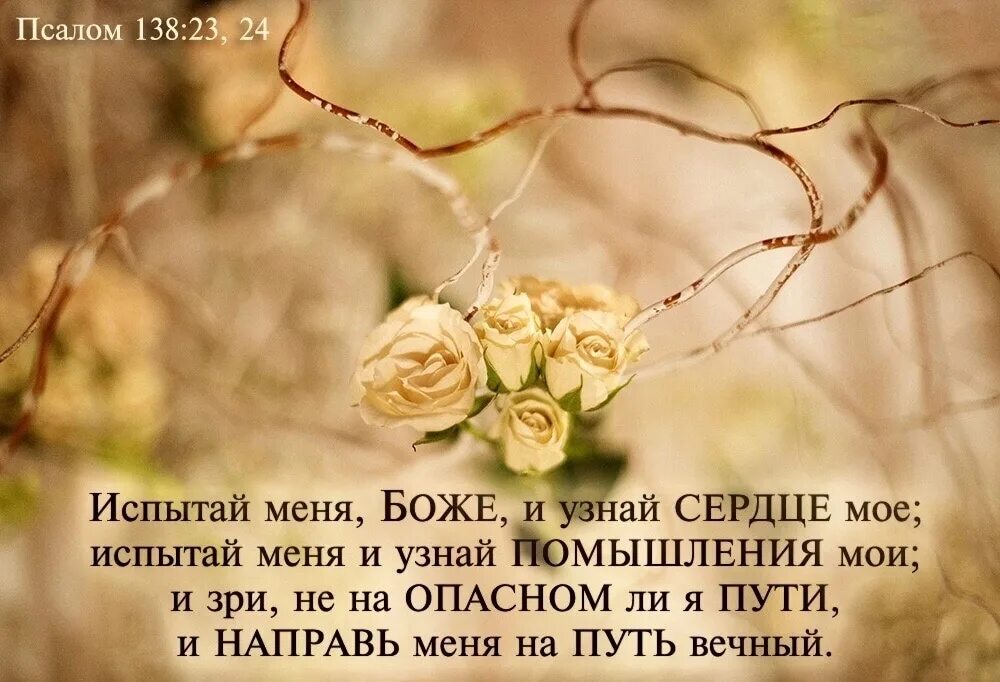 Псалом 54 на русском. Стихи из Библии. Стихи из Библии в картинках. Стихи из Библии на каждый день. Христианские открытки со стихами из Библии.