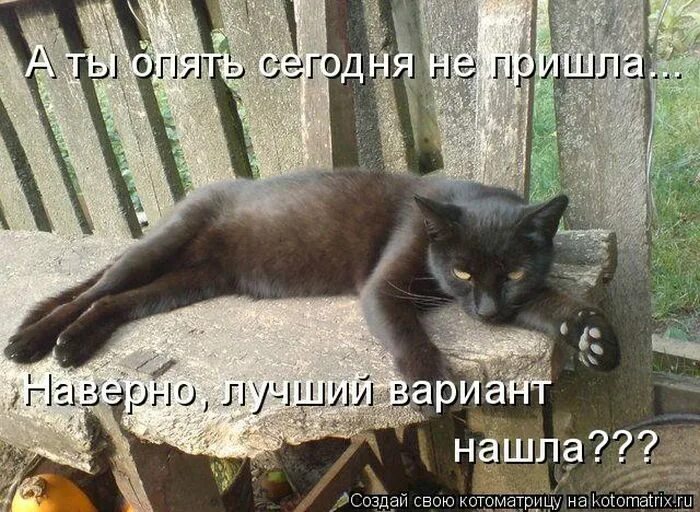 Что ж ты не пришла