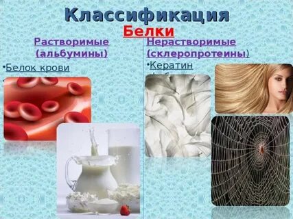 Белки какая ткань